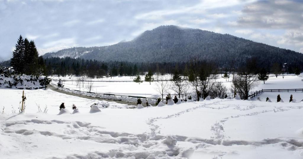 Landhaus Am Golfplatz Seefeld in Tirol Exteriör bild